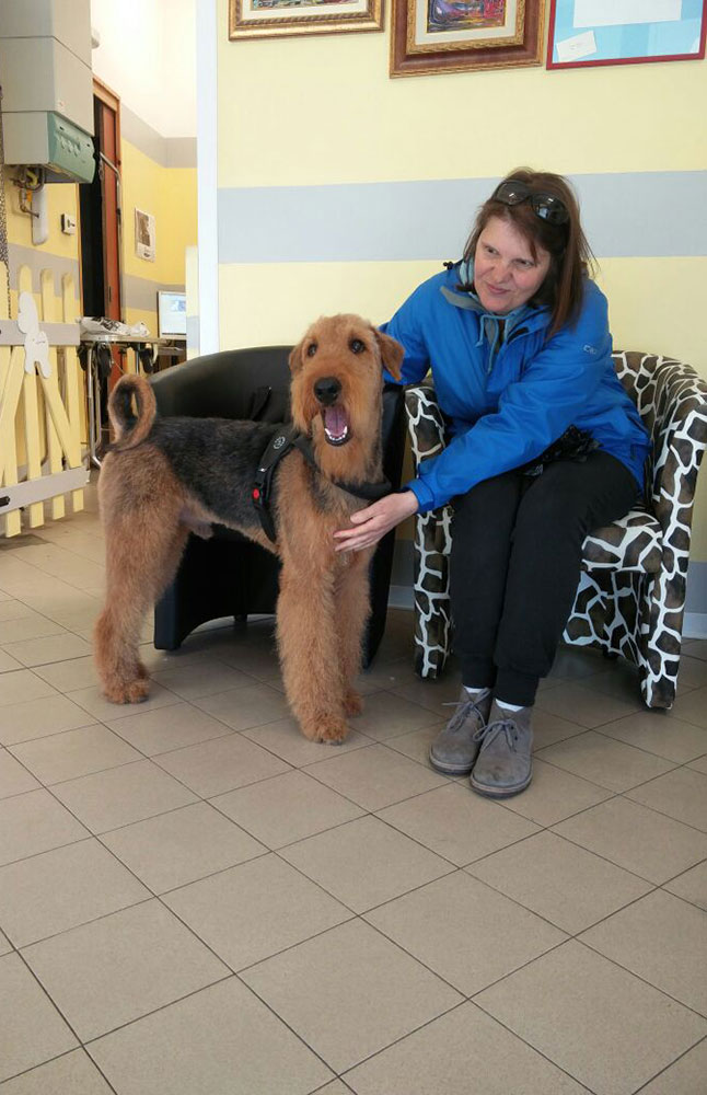 /img/gallery/razze/Airedale/airedale_19_04_2017.jpg
